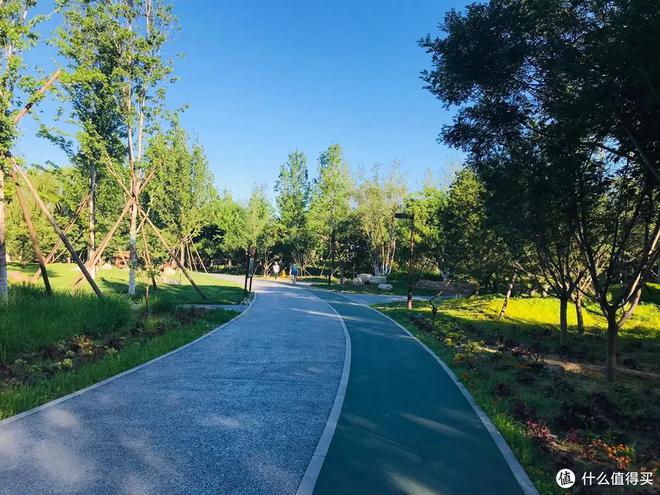 pg电子麻将胡了 避雷篇：力量器械怎么买？避雷攻略来了