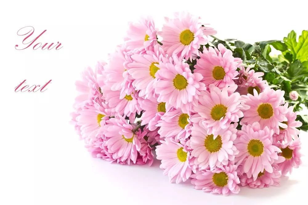 集中注意力看书就犯困_看书不能注意力集中_看书可以集中注意力吗