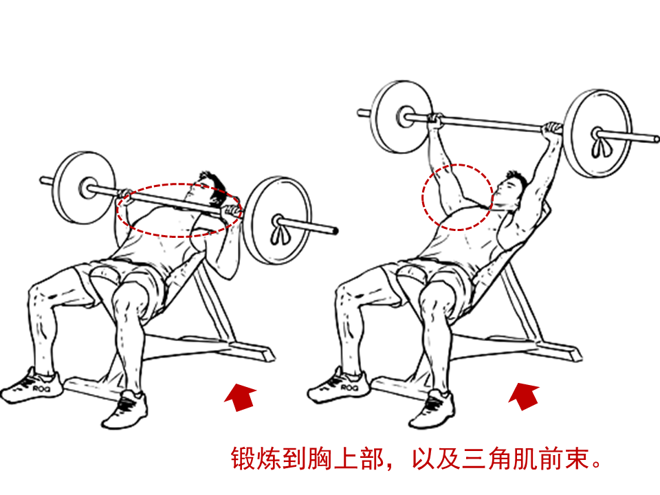 女性能不能练下胸_女性能练下胸吗_如果练下胸