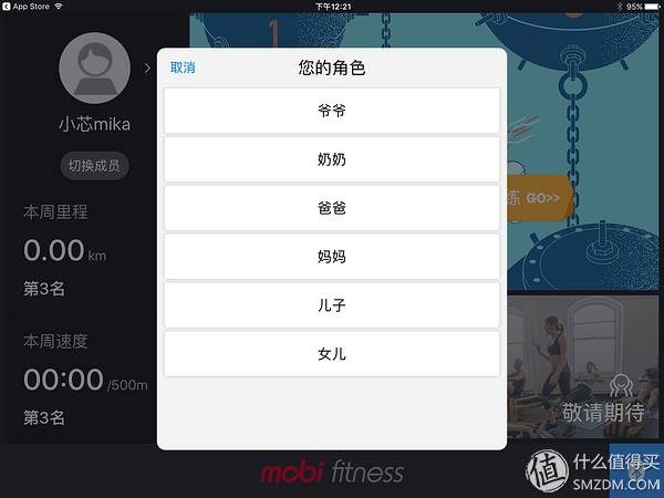 腰腹轮怎么用_可调节家用腰腹训练器_腰腹训练器怎么用