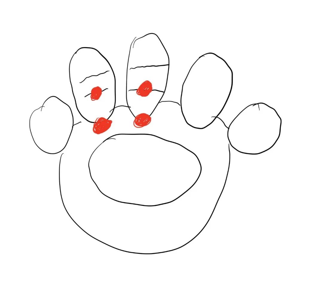 健身手套_健身训练手套_手套健身训练视频