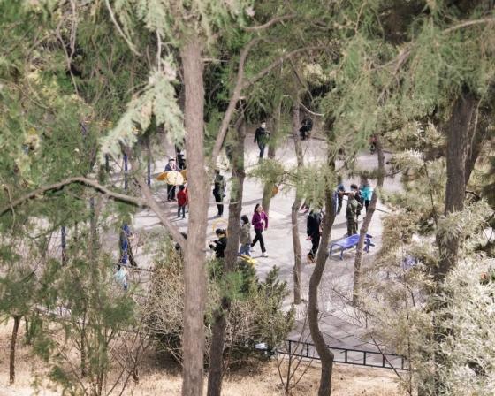 云开·全站apply体育官方平台 北京大爷们的单杠江湖