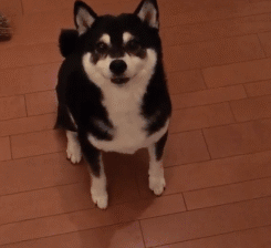 安卓 微信运动_安卓微信运动点赞不能取消_安卓微信运动不显示步数怎么办