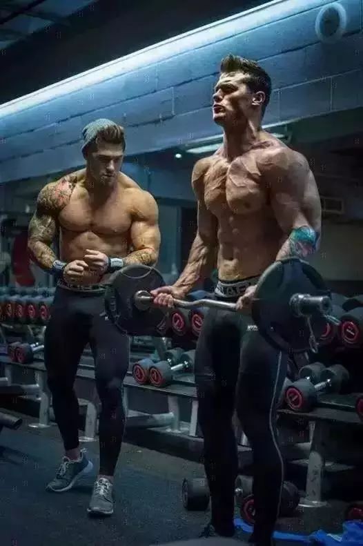 初学者健身房训练步骤_健身初学者进健身房训练计划_健身初学者健身房训练计划