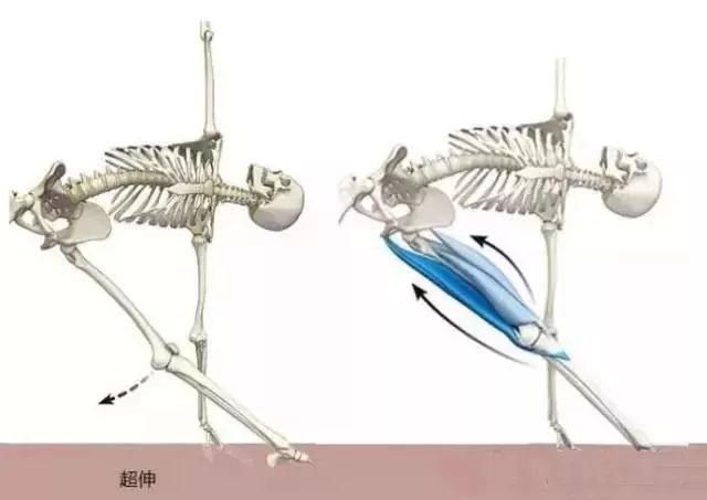 运动后脚踝疼 多久能好_脚踝痛还继续运动会怎么样_疼脚踝能运动好后会疼吗