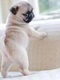 kaiyun体育登录网页入口 连有氧无氧都分不清，难怪你越减越肥！！