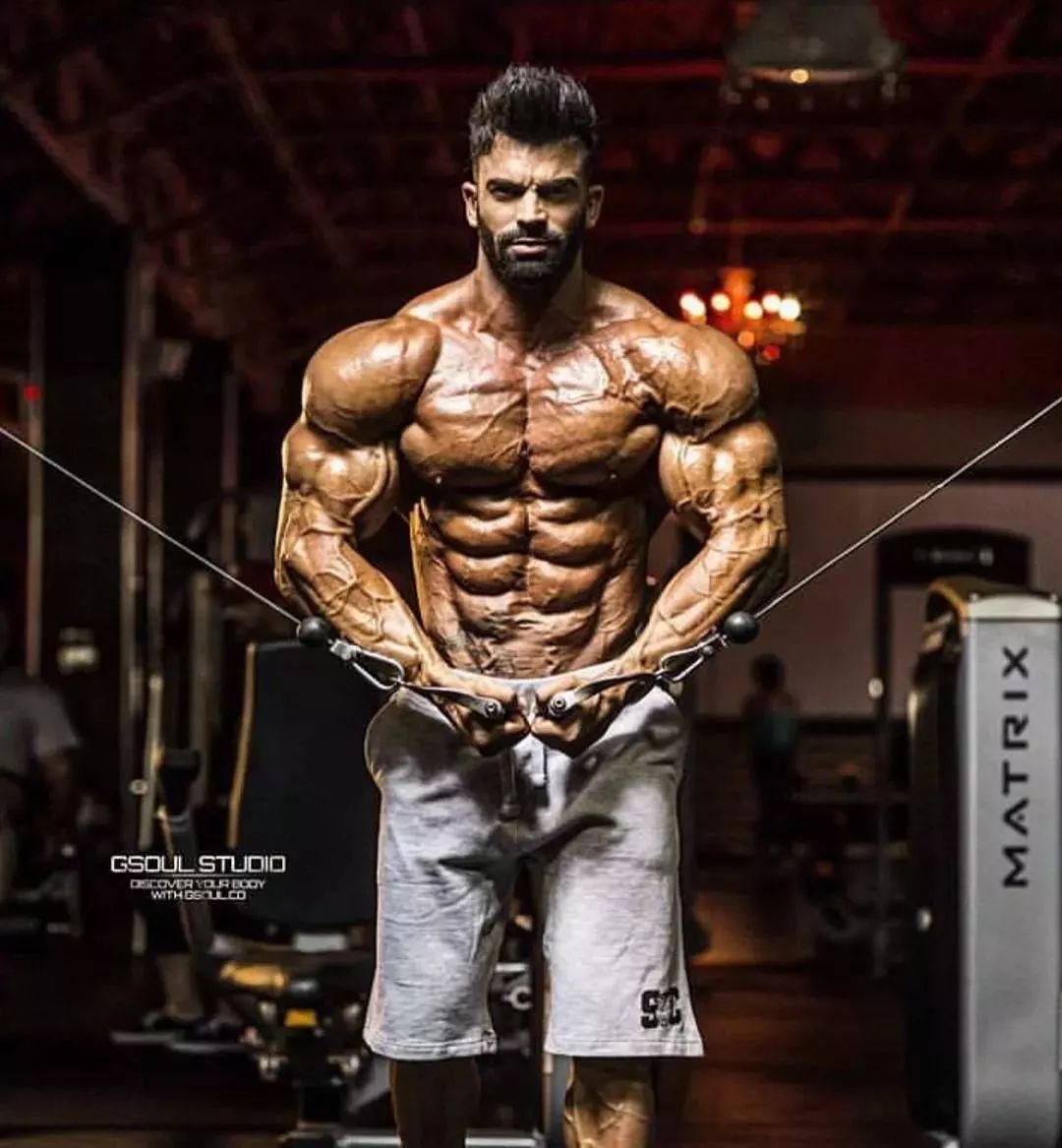 适合自然健美的训练法则_健美训练的核心法则是什么_健美训练法则有哪些