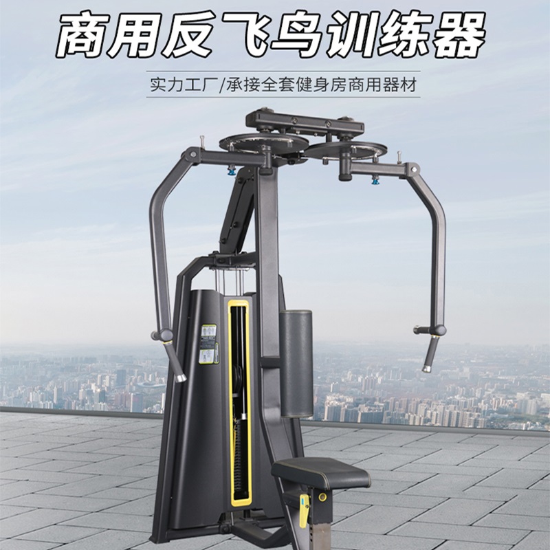 pg电子麻将胡了 综合训练器哪个好？良心推荐十大热销品牌，不玩套路！