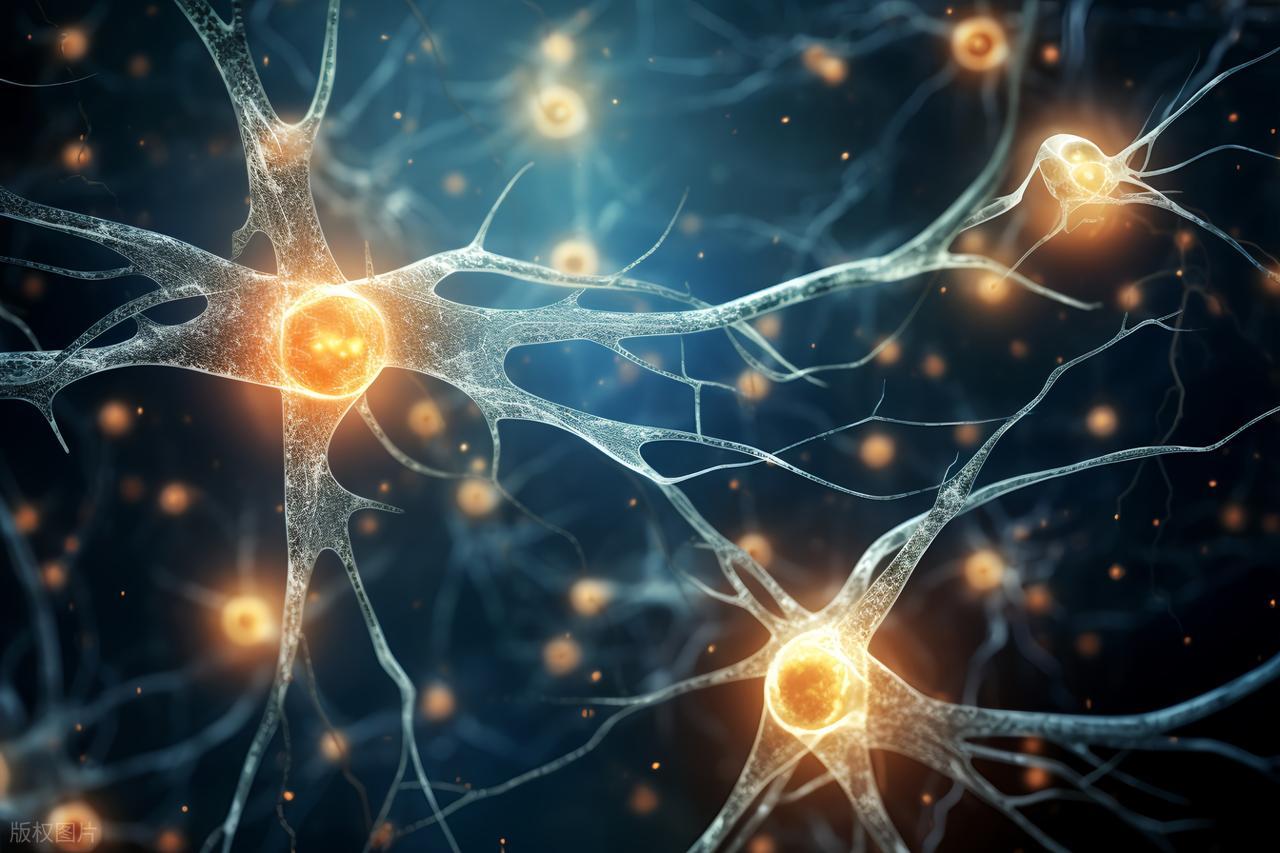 单一模式运动损伤_力量训练后肌肉疼_跑步腰痛