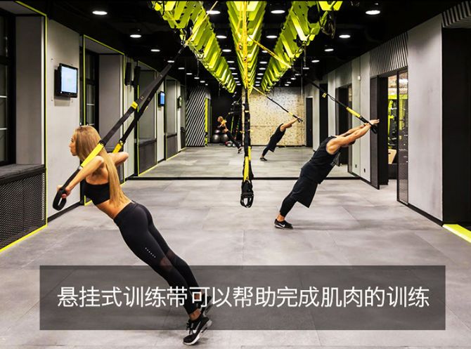 pg棋牌 【下载】10套TRX悬挂悬吊式训练带拉力绳教程合集