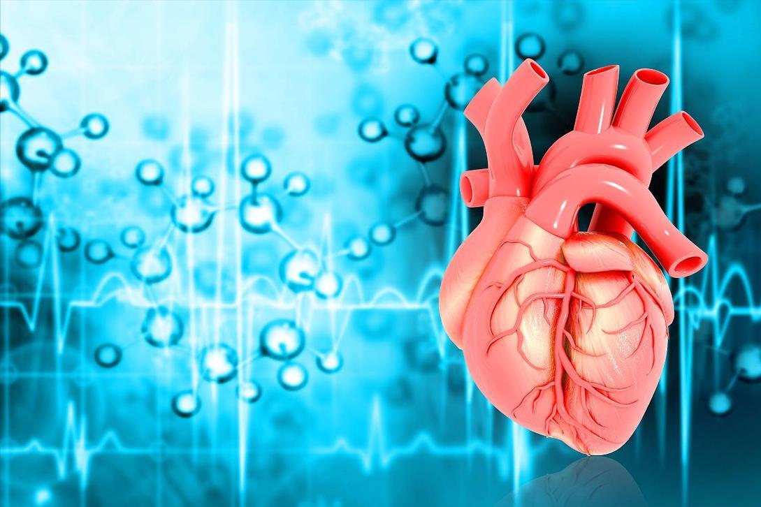 静息心率监测_高血压心率异常_跑步时心率过快好吗?