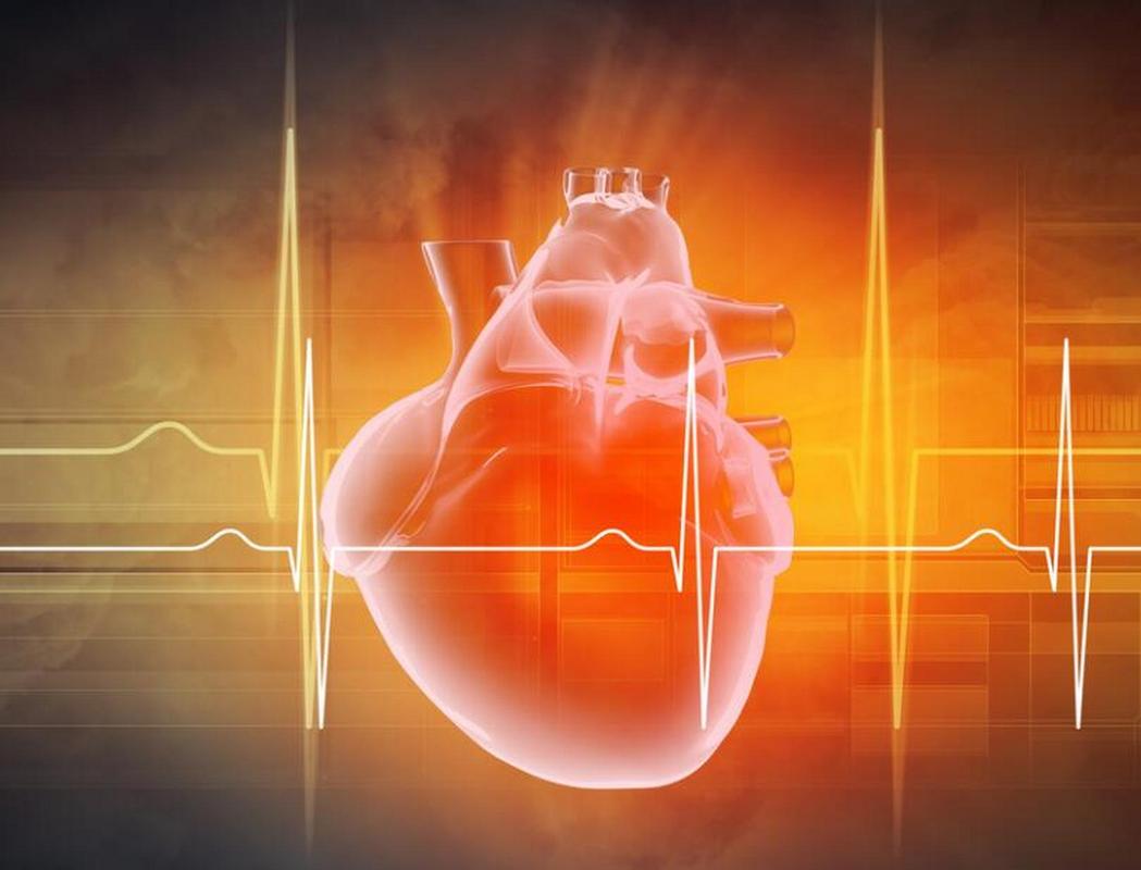 静息心率监测_跑步时心率过快好吗?_高血压心率异常