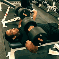 健身房做什么运动练马甲线_新手健身房器械训练_复合动作健身教程