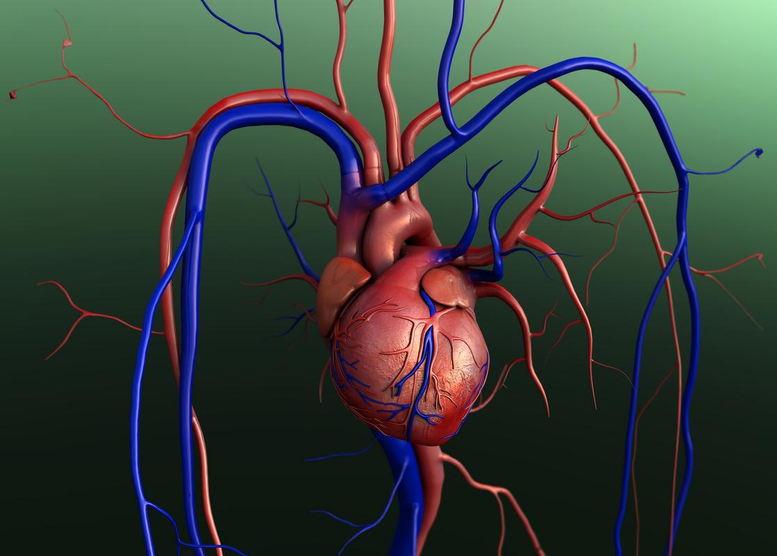 跑步过量危害_适量跑步健康益处_跑步时心率过快好吗?