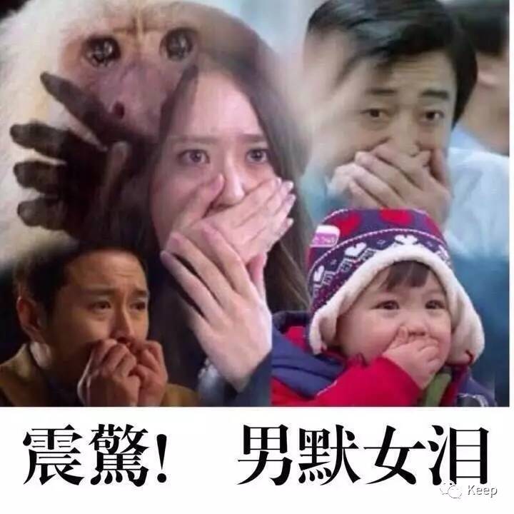 问鼎赏金女王pg官网入口下载手机版安 想用健腹轮练腹肌的人，一定要看到最后！