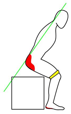 粗练腿变深蹲会让腿变粗吗_深蹲把腿练粗了_练深蹲会让腿变粗吗