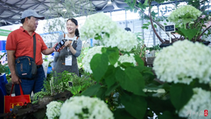 pg娱乐电子游戏 上海园林景观展：“一站式”感受花园式生活