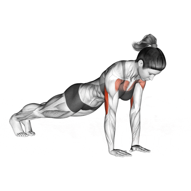 上胸部俯卧撑变式_宽距窄距俯卧撑训练_上胸的锻炼