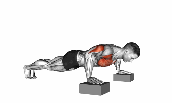 上胸的锻炼_上胸部俯卧撑变式_宽距窄距俯卧撑训练