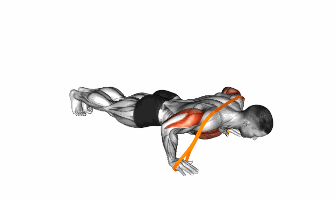 上胸的锻炼_上胸部俯卧撑变式_宽距窄距俯卧撑训练