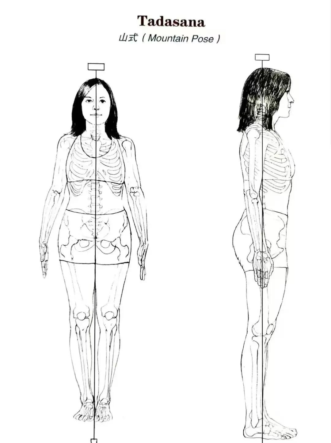 瑜伽练腿的体式有哪些_拜日式序列细节_瑜伽自我练习