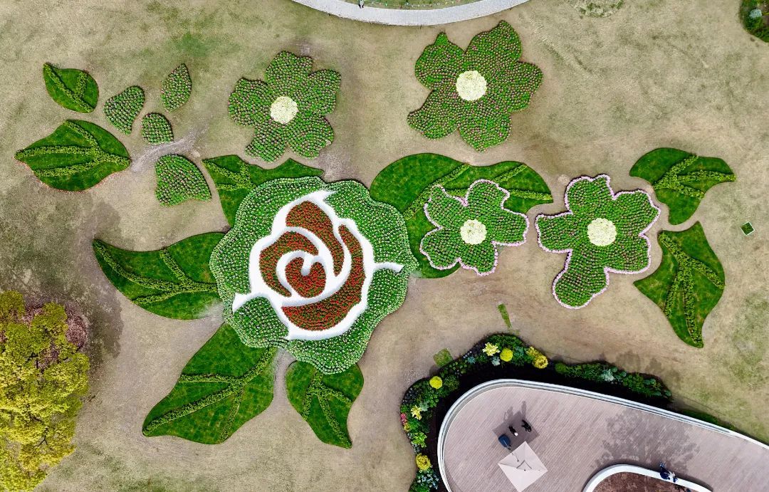 上海园博会在哪儿_上海园博会_上海园博会2010