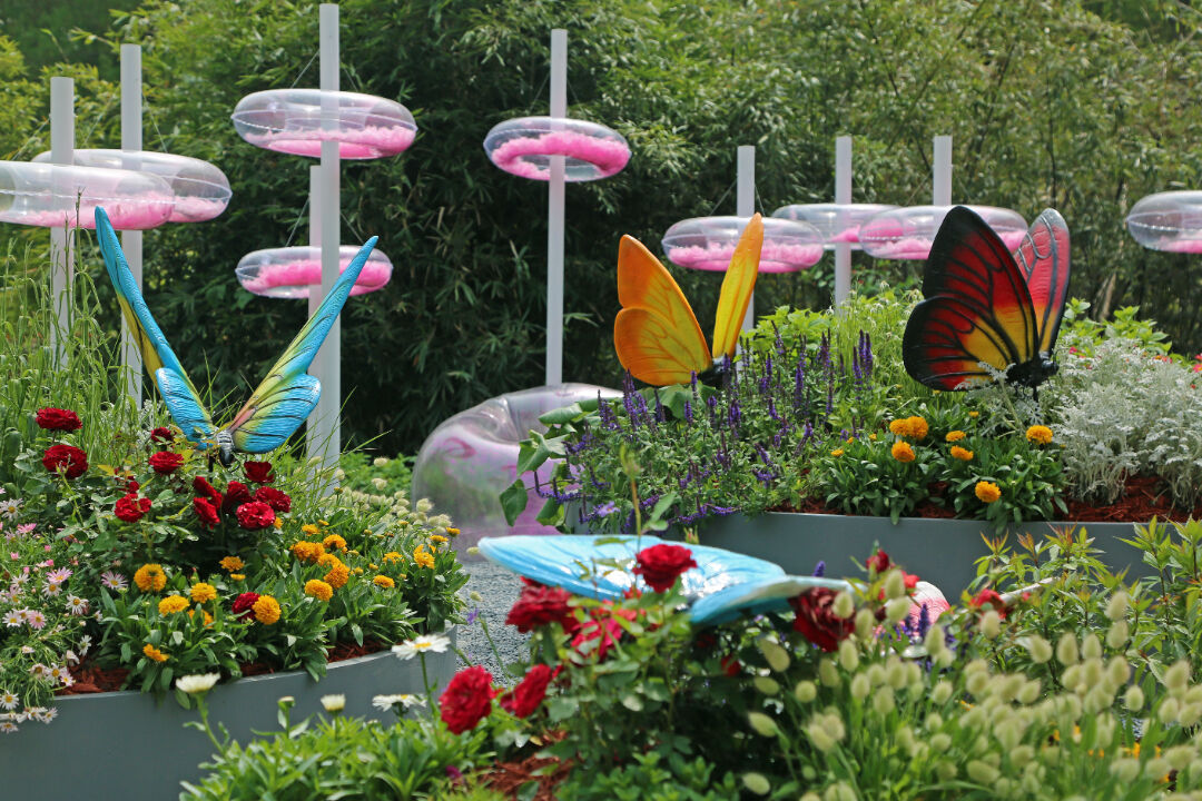 上海园博会在哪儿_上海园博会2010_上海园博会