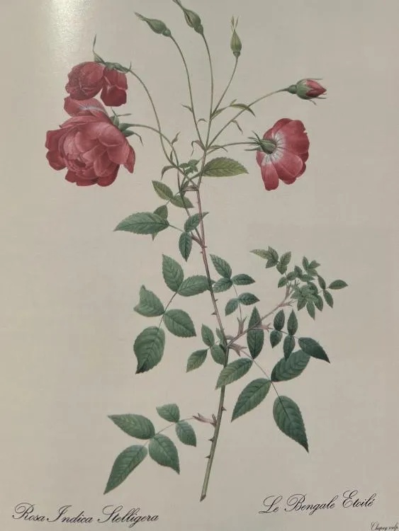 上海园博会_上海园博会在哪儿_上海园博会2010