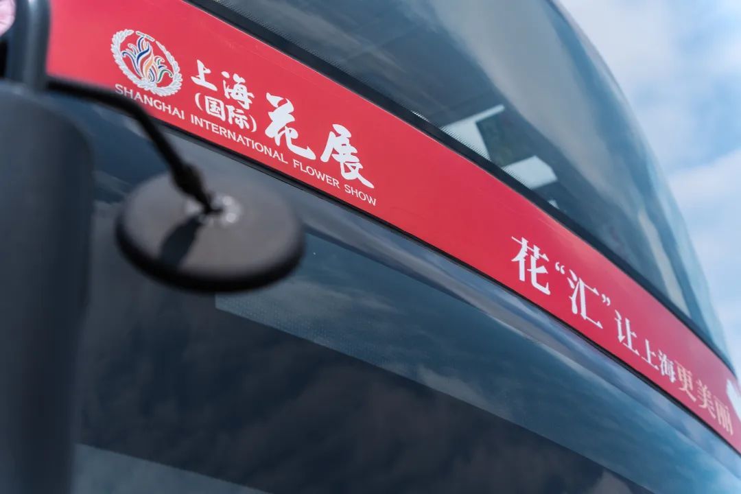 上海园博会_上海园博会2010_上海园博会在哪儿