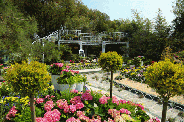 上海园博会在哪儿_上海园博会2010_上海园博会