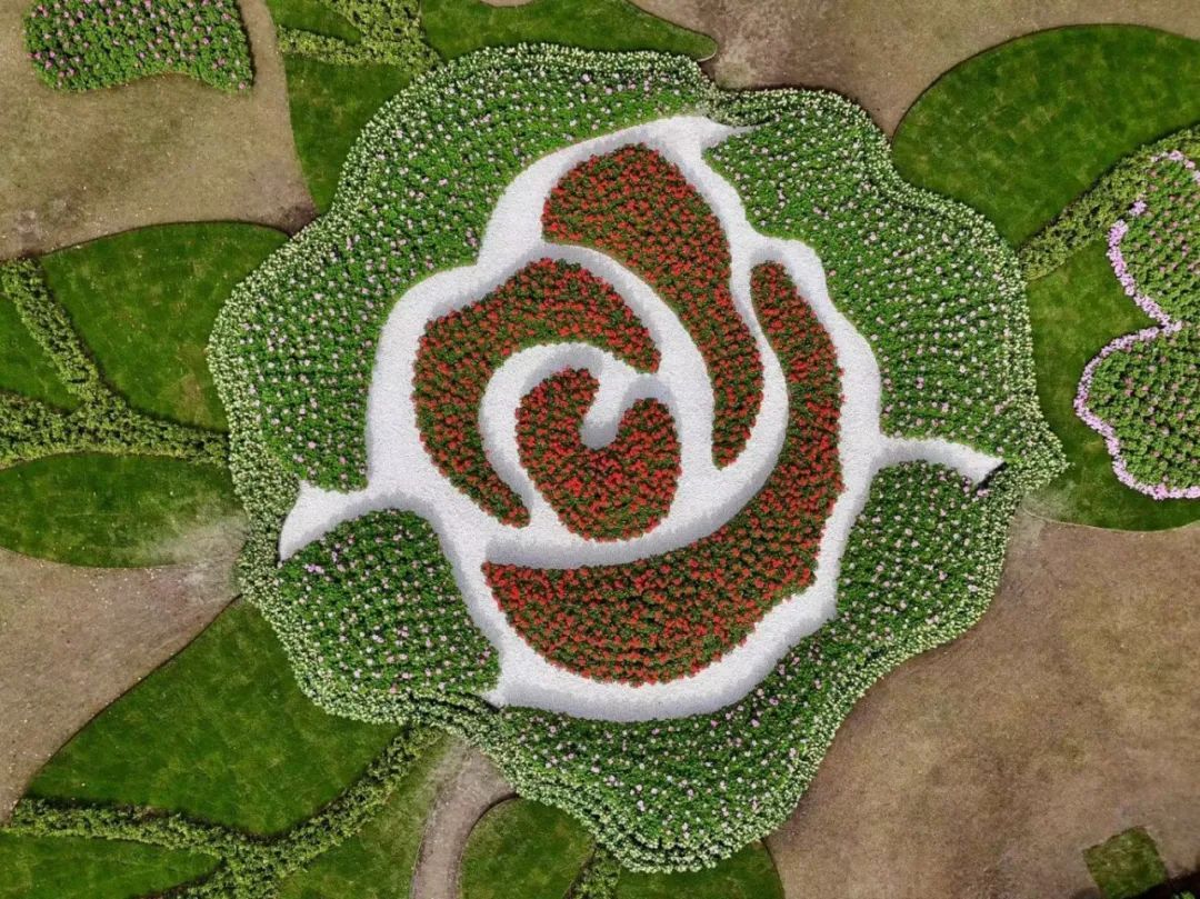 上海园博会在哪儿_上海园博会_上海园博会2010