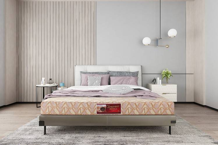 康姿百德典雅款磁性床垫 _ 睡眠质量提升 _康姿百德笫三套笫一节