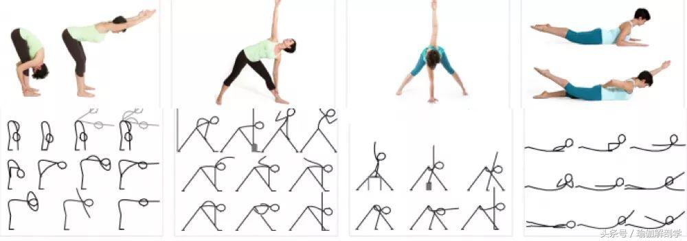 瑜伽猫牛单腿伸展变体_安全瑜伽体式_瑜伽初学者基础体式