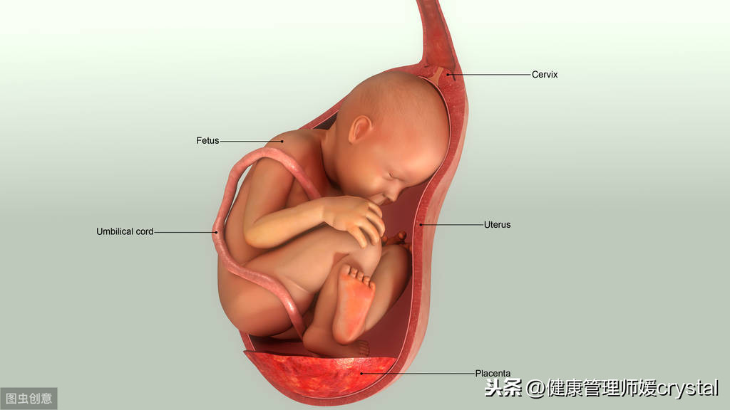 婴儿趴睡利弊分析_宝宝趴睡窒息风险_婴儿翻身回来训练图示