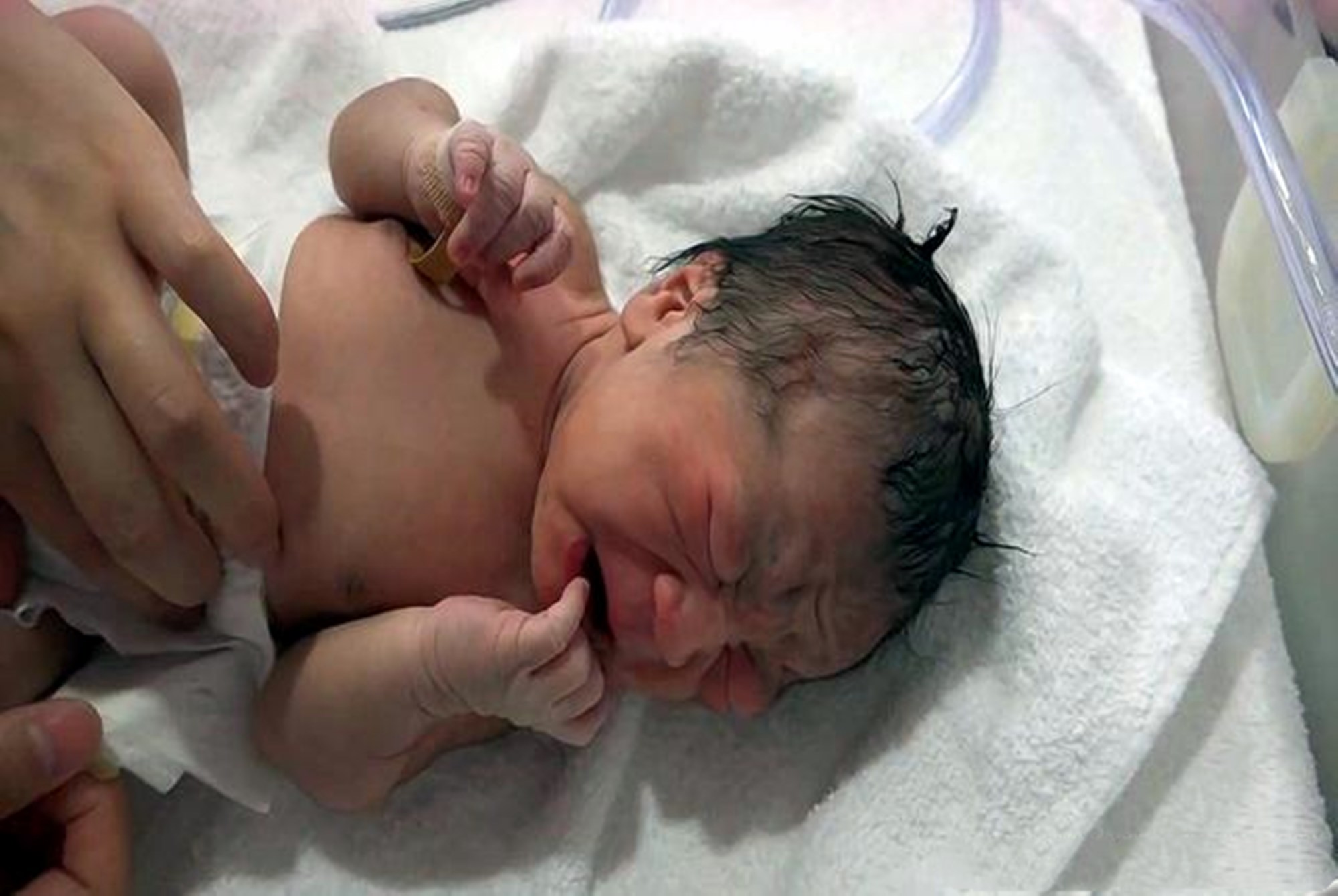 婴儿翻身回来训练图示_宝宝竖抱时间_宝宝竖抱姿势