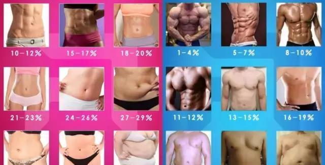 腹肌好用吗_每客腹肌有用吗_腹肌器材怎么使用