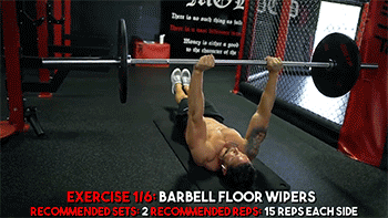 腹肌器材怎么使用_每客腹肌有用吗_腹肌干啥用的