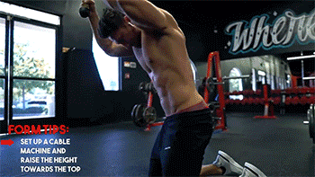 腹肌干啥用的_每客腹肌有用吗_腹肌器材怎么使用