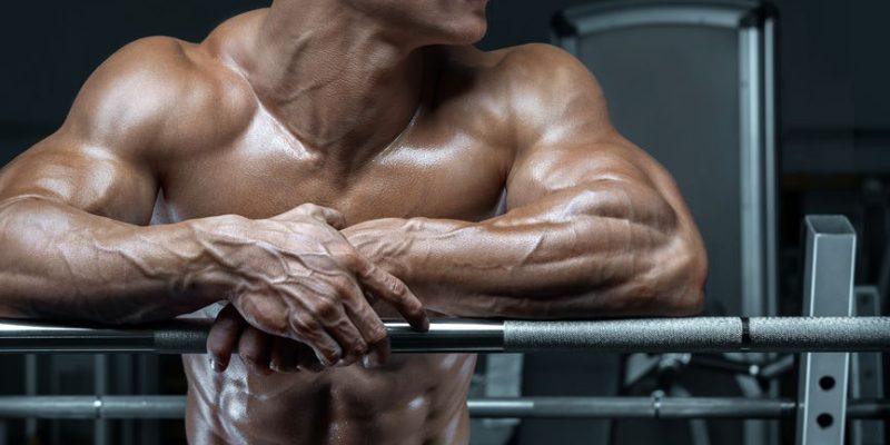 练胸肌可以减胸部脂肪吗_练胸肌可以丰胸吗_胸肌可以天天练吗