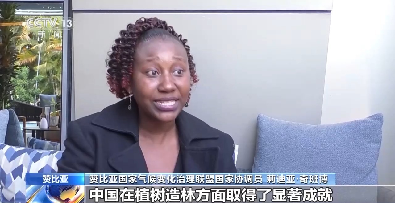 sportsart fitness_中国荒漠化防治成就_三北工程绿化面积