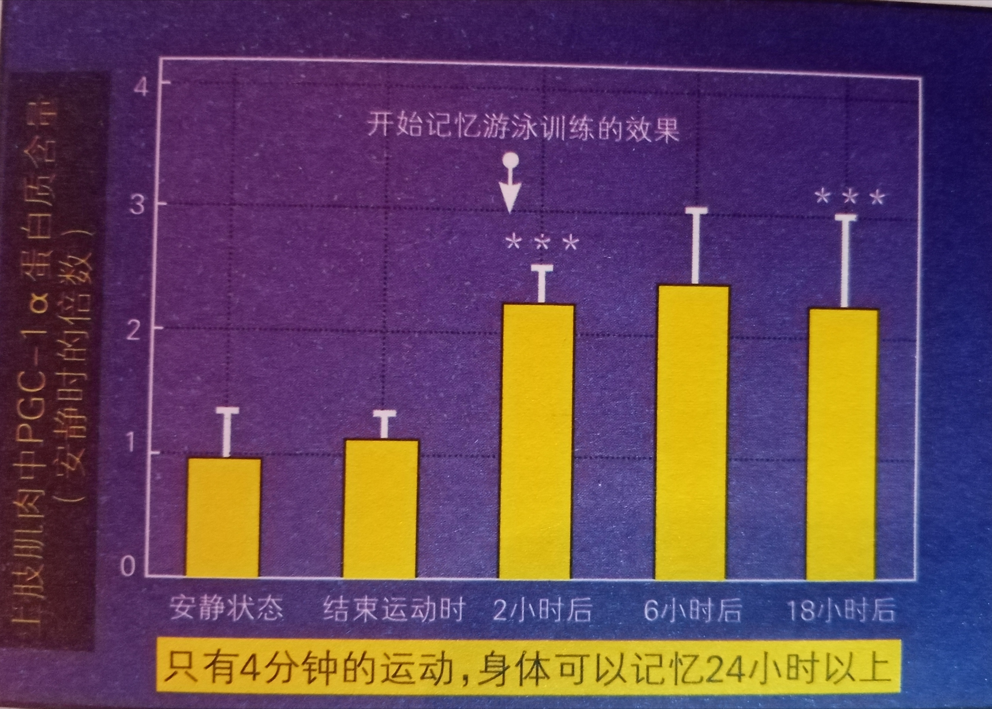 sportsart fitness_TABATA减肥训练方法_高强度间歇训练TABATA