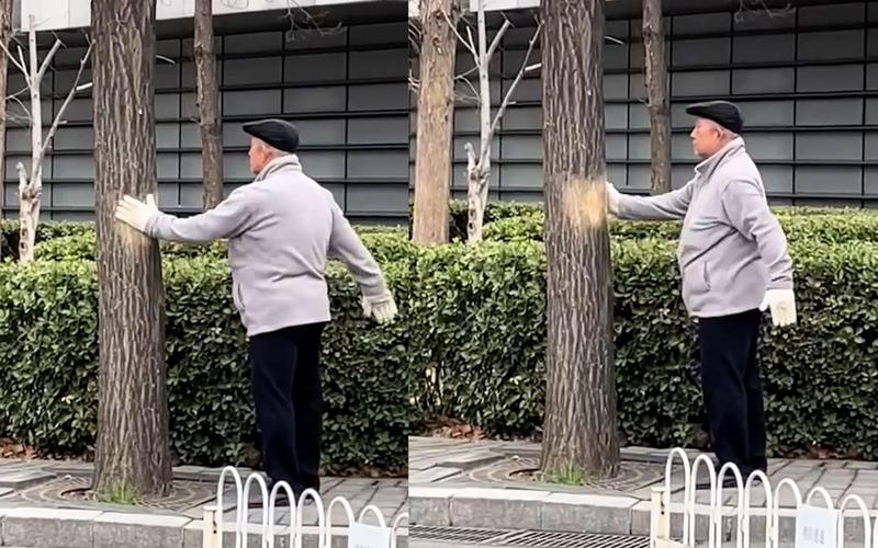 问鼎赏金女王pg官网入口下载手机版安 天冷坚持晨练戴手套，过 3 个月，手部循环和抗寒力或明显提升