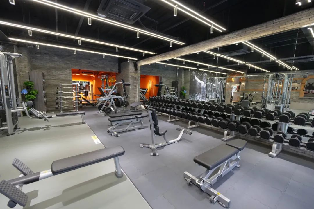 健身综合训练器_力量训练者健身需求_铁馆商业模式