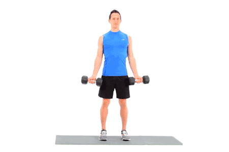 居家健身器材推荐_哑铃弹力带训练方法_没有健身器怎么练胸肌