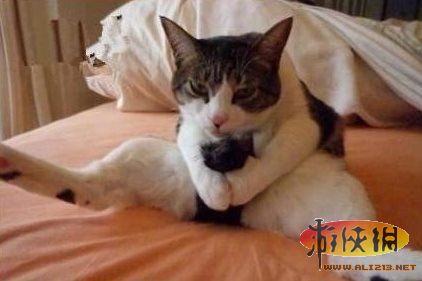 打飞对身体有什么好处_打飞对身体有什么好处_打飞对身体有什么好处