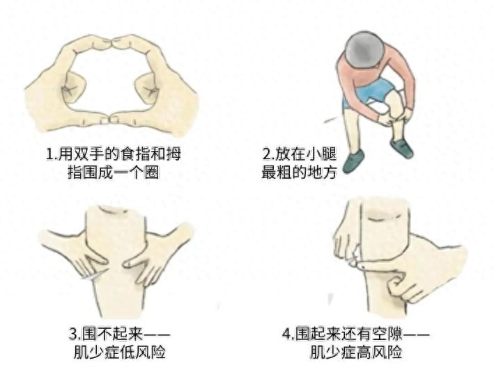问鼎赏金女王pg官网入口下载 肌肉竟是身体的“抗衰神器”？两招教你轻松“存”肌肉
