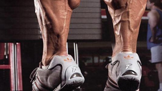 瘦小腿提踵有效果么_小腿提踵会粗腿吗_提踵会让小腿变粗吗