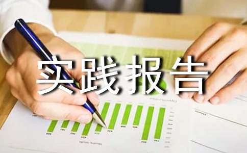 家电促销员社会实践报告