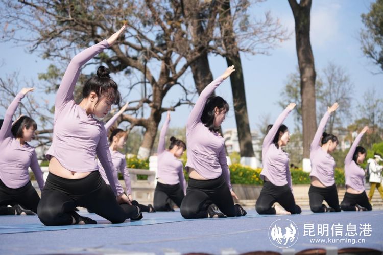 健身瑜伽规定体式有哪五个类别_五华区瑜伽比赛规定套路_五华区健身瑜伽进社区比赛
