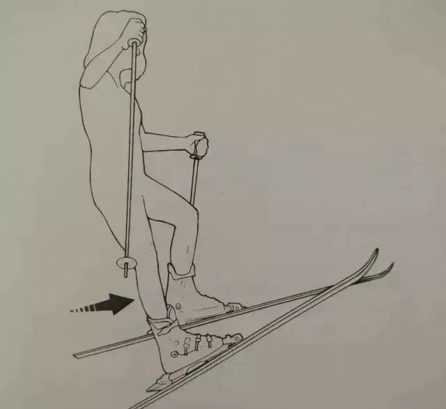 交叉韧带康复科一天多少钱_交叉韧带运动康复_前交叉韧带康复训练图